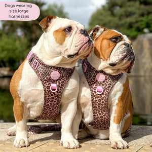 Tough Trails™ Harness Leopard Print – Pawsome Paws Boutique