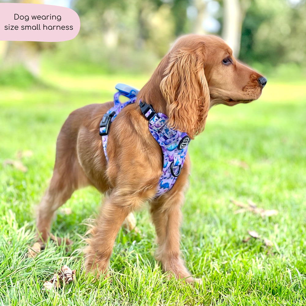 Tough Trails™ Harness - Tiny Diny
