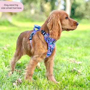 Tough Trails™ Harness - Tiny Diny