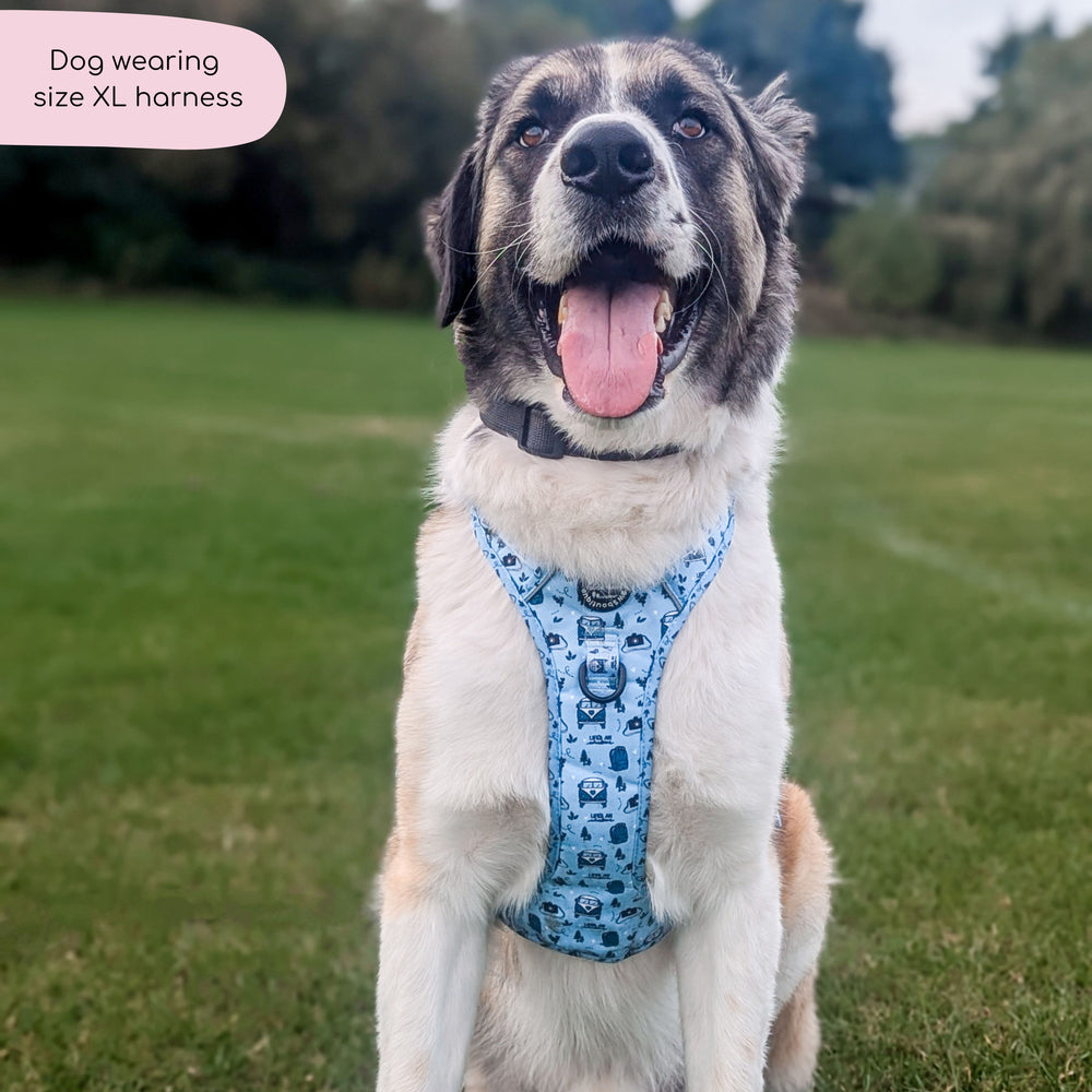 Tough Trails™ Harness - Reuben's Roadtrip