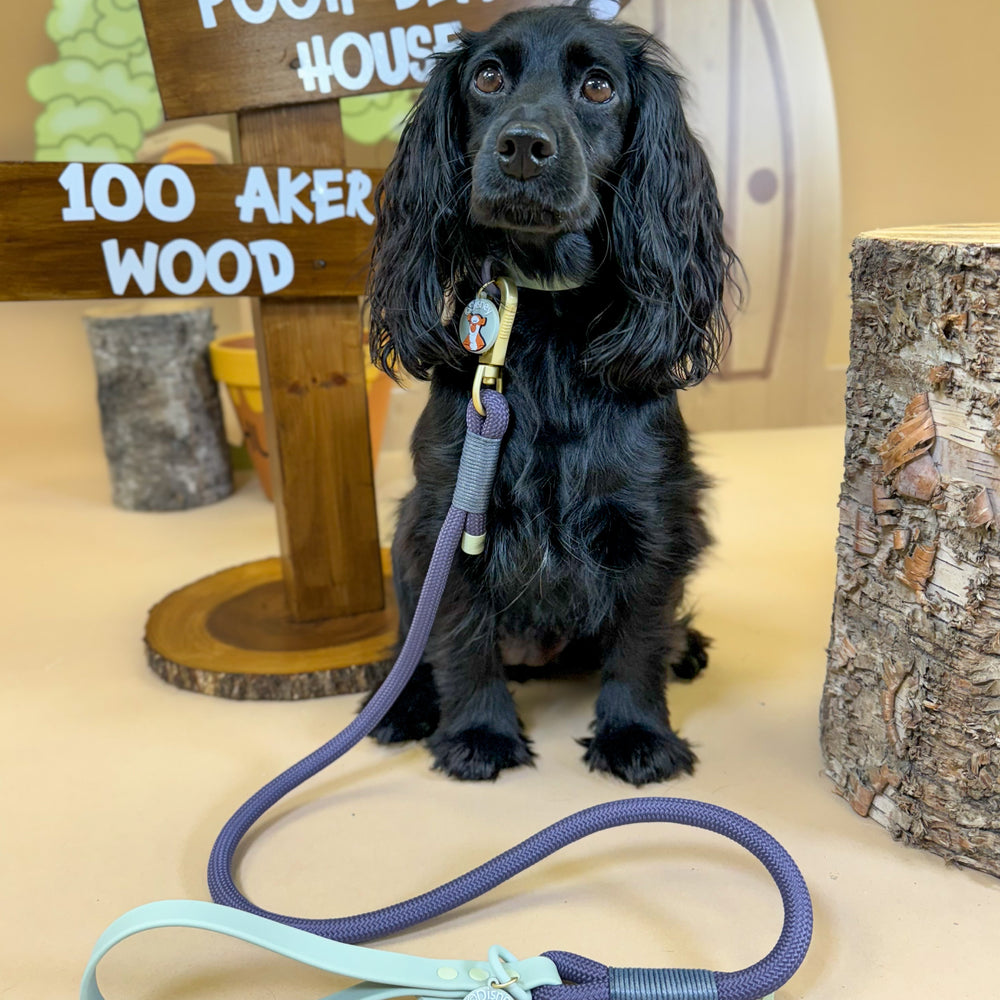 Disney© 4ft Rope Lead - Winnie + Friends - Sage and Blue