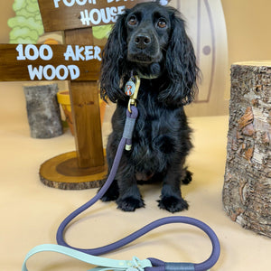 Disney© 4ft Rope Lead - Winnie + Friends - Sage and Blue