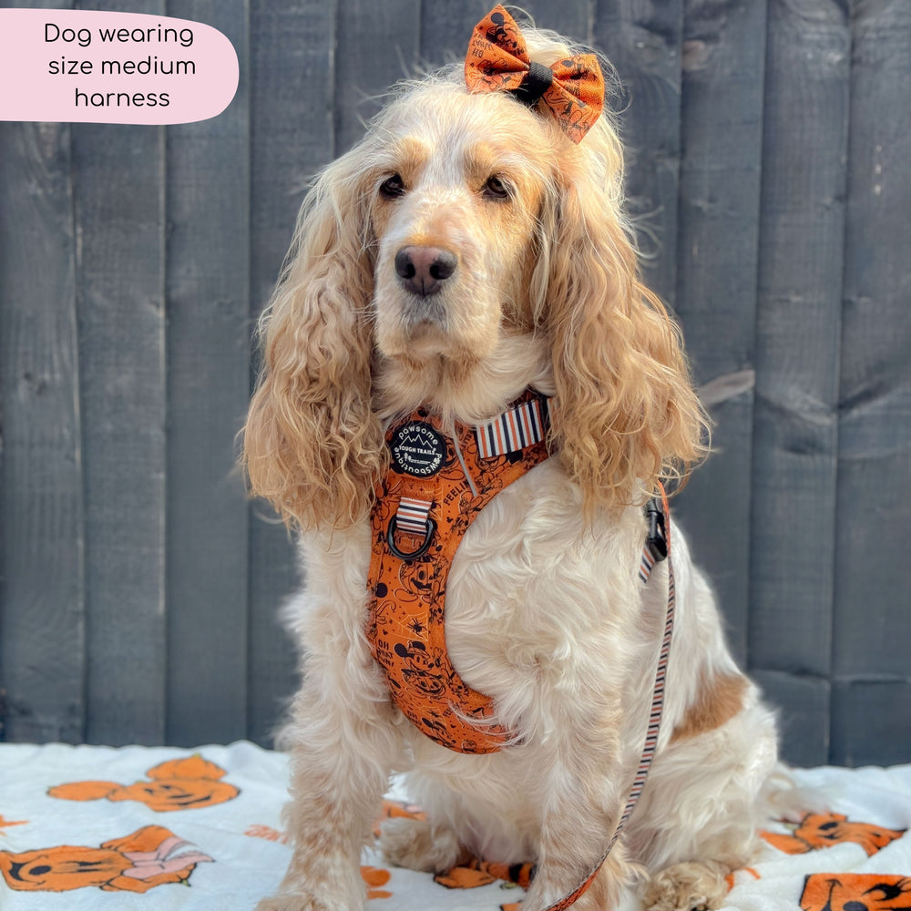 Disney© Tough Trails™ Harness - Halloween