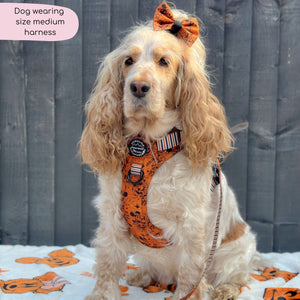Disney© Tough Trails™ Harness - Halloween