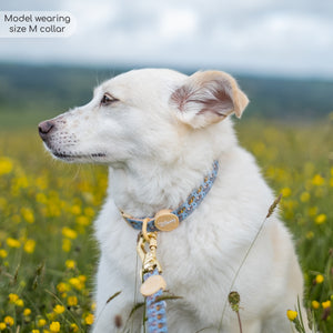 Disney© Collar - Lion Friends