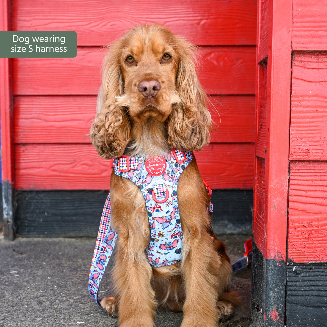 Disney© Tough Trails™ Harness - Dumbo