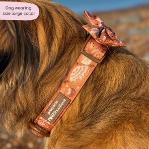 Collar - Cinnamon Spice