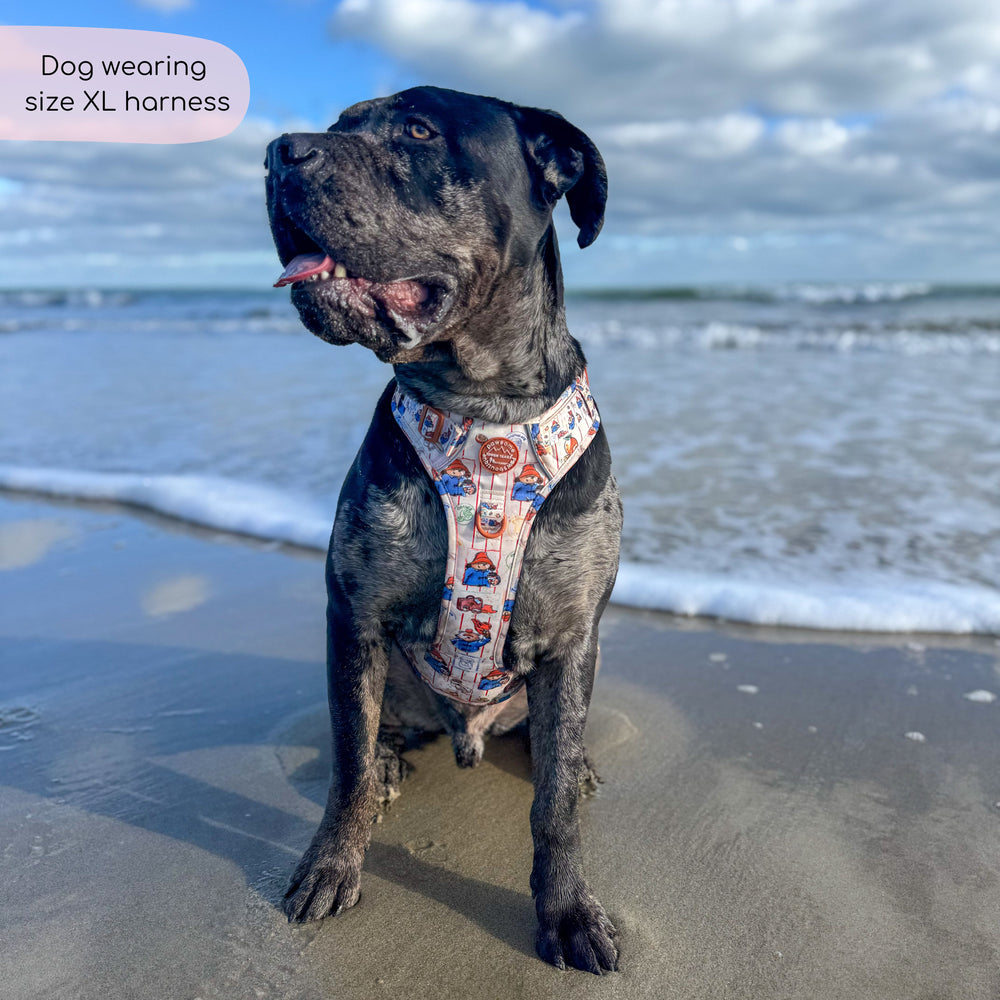 Paddington™ Tough Trails™ Harness - Peckish Paddington