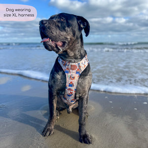 Paddington™ Tough Trails™ Harness - Peckish Paddington