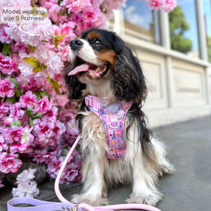 Tough Trails™ Harness - Emily In Paris