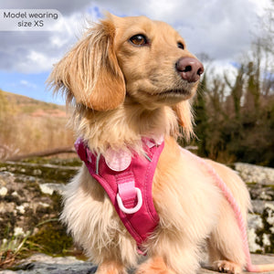 Tough Trails™ Harness - Walkies Ready® Raspberry Pink