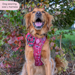 Tough Trails™ Harness - Bows Of Joy