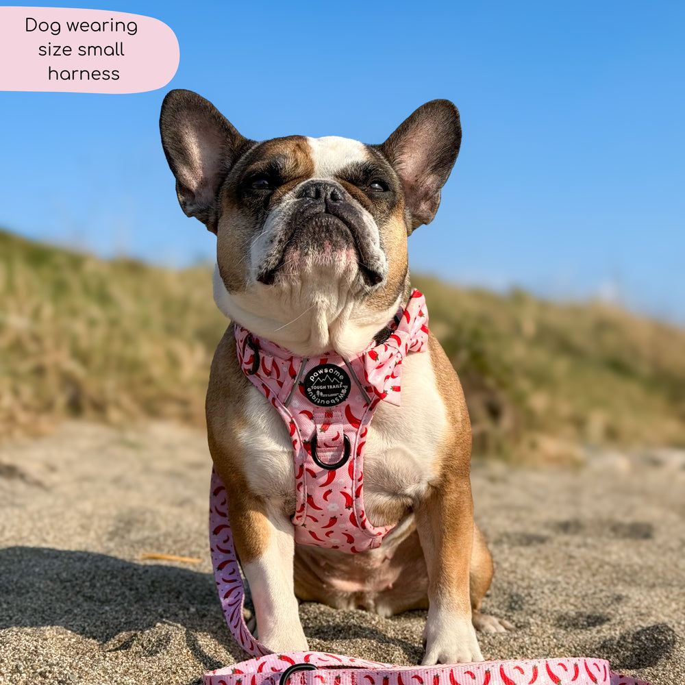 Tough Trails™ Harness - Chilli Dog