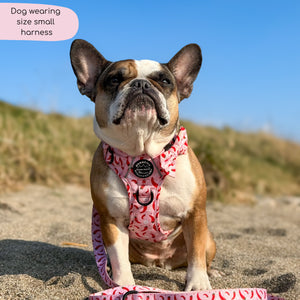 Tough Trails™ Harness - Chilli Dog