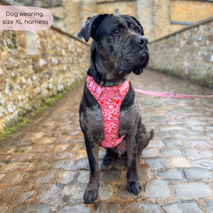 Disney© Tough Trails™ Harness - Jessie