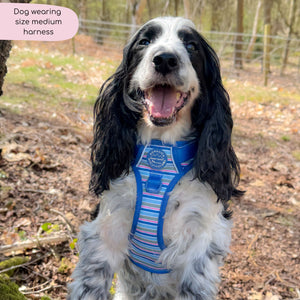 Tough Trails™ Harness -  Sailor Stripes