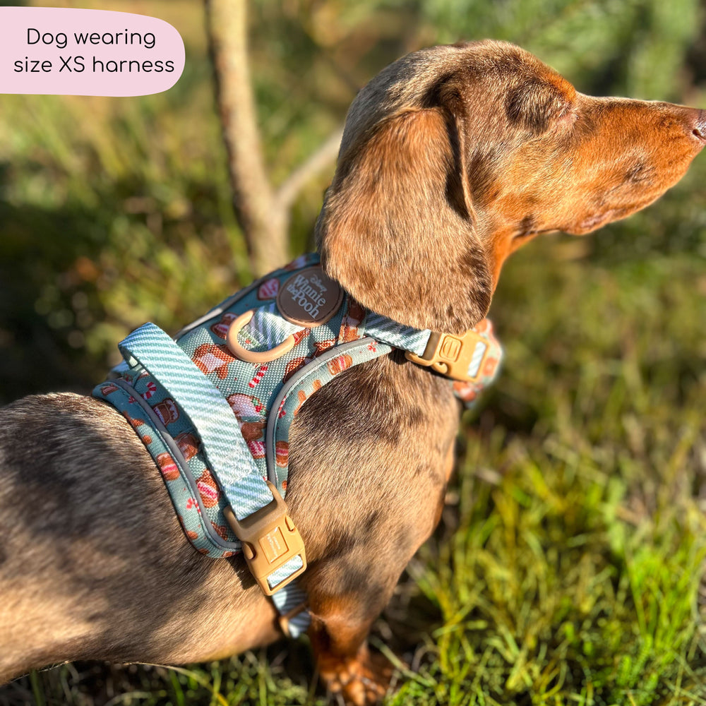 Disney© Tough Trails™ Harness - Gingerbread Bear Sage