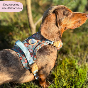 Disney© Tough Trails™ Harness - Gingerbread Bear Sage