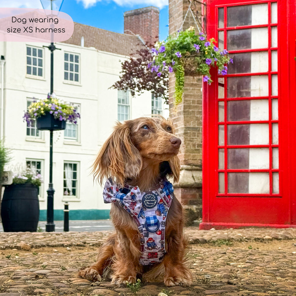 Paddington™ Tough Trails™ Harness - London