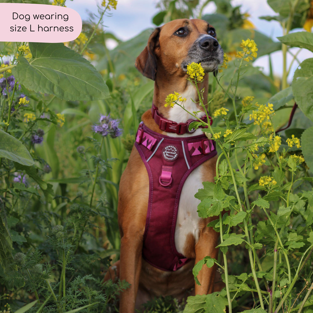 Tough Trails™ Harness - Walkies Ready® Mulberry
