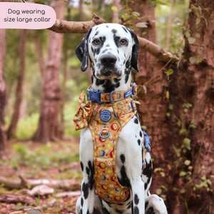 Collar - Celestial Spirit