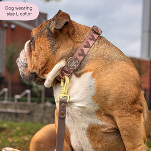 Collar – Walkies Ready® Chocolate Brown