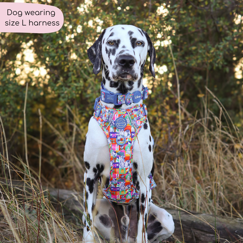 Disney© Tough Trails™ Harness - Lady + The Tramp