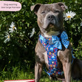 Disney© Tough Trails™ Harness - Alice In Wonderland