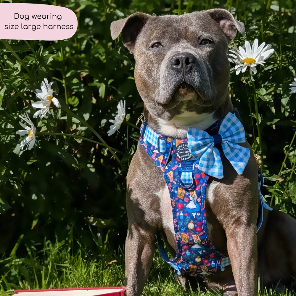 Disney© Tough Trails™ Harness - Alice In Wonderland