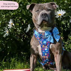 Disney© Tough Trails™ Harness - Alice In Wonderland