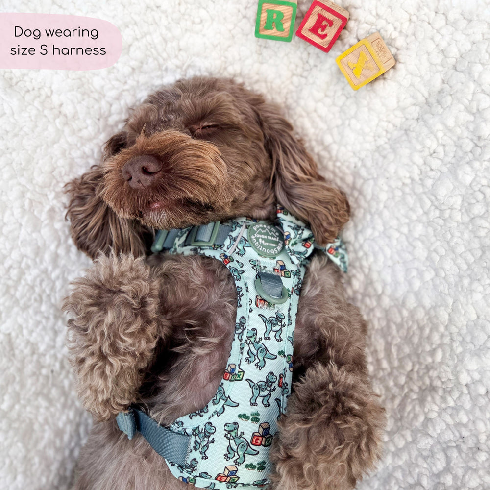 Disney© Tough Trails™ Harness - Rex