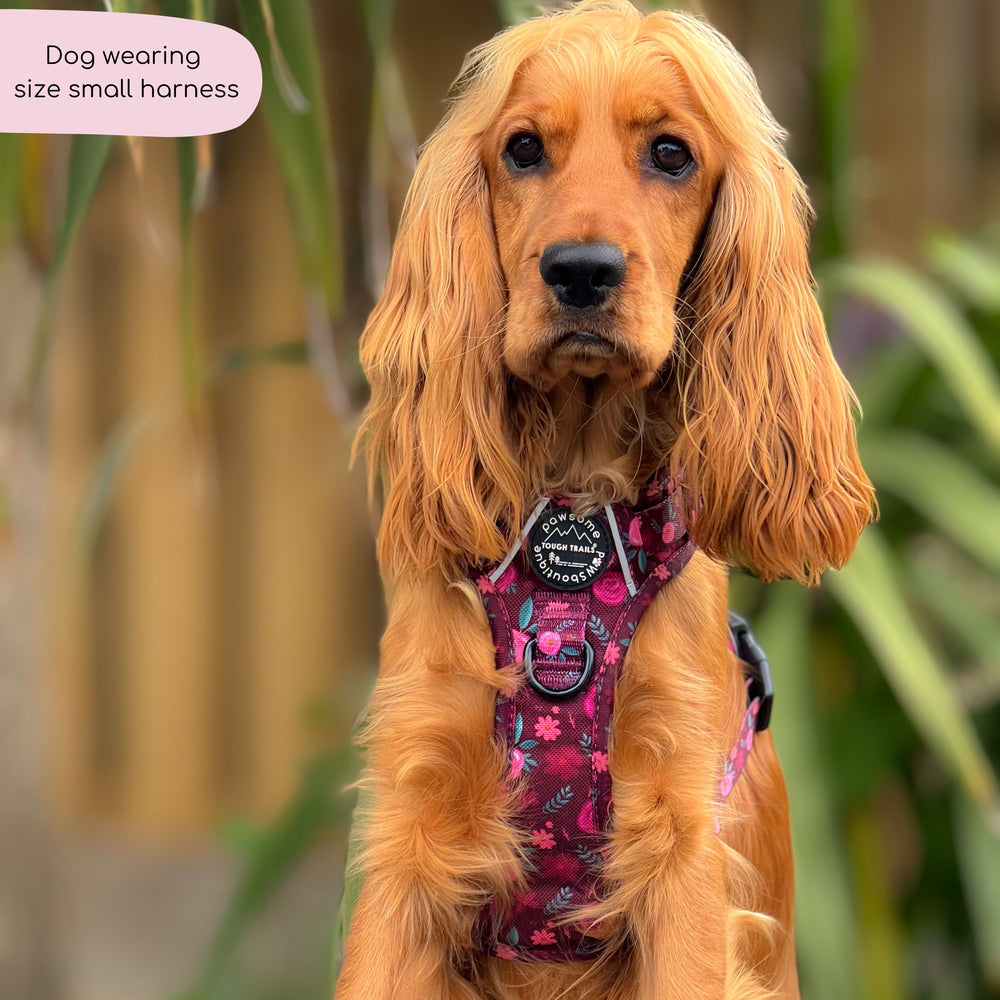 Tough Trails™ Harness - Mable's Meadow