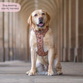 Disney© Tough Trails™ Harness - Slinky