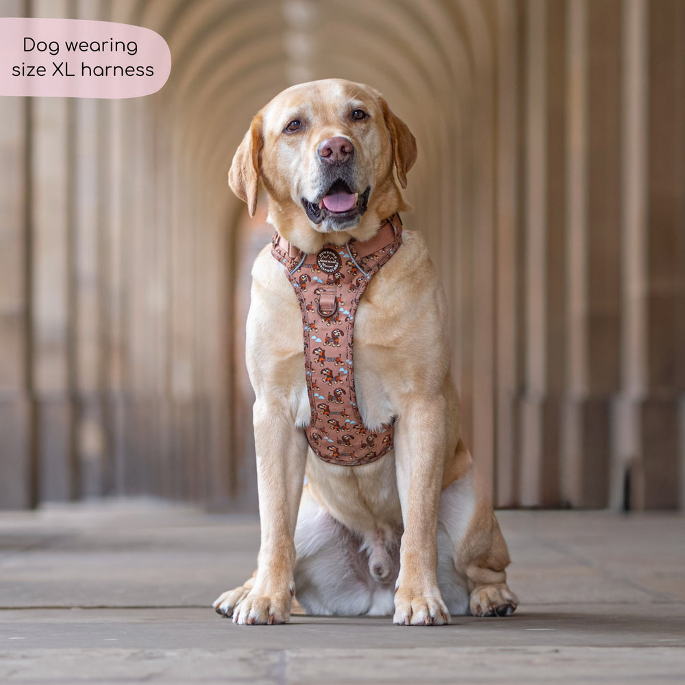 Disney© Tough Trails™ Harness - Slinky