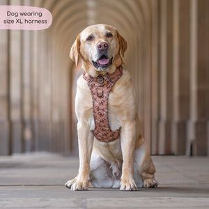 Disney© Tough Trails™ Harness - Slinky