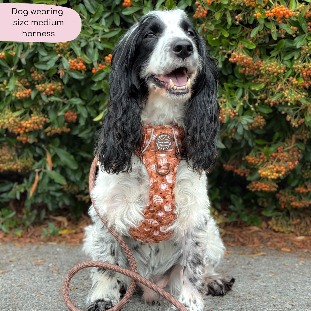 Tough Trails™ Harness - Cinnamon Spice