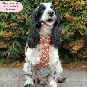 Tough Trails™ Harness - Cinnamon Spice