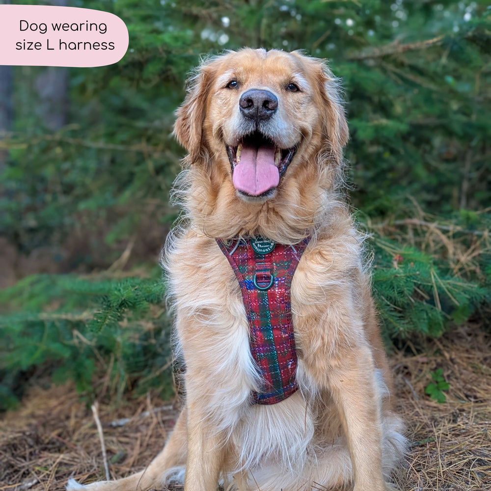 Tough Trails™ Harness - Yuletide Plaid