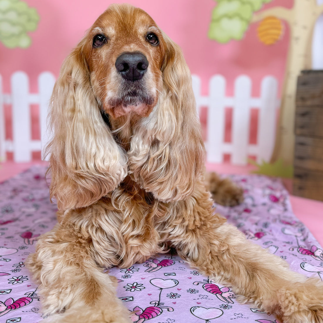 Disney© Dog Blanket - Piglet