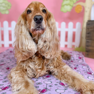 Disney© Dog Blanket - Piglet