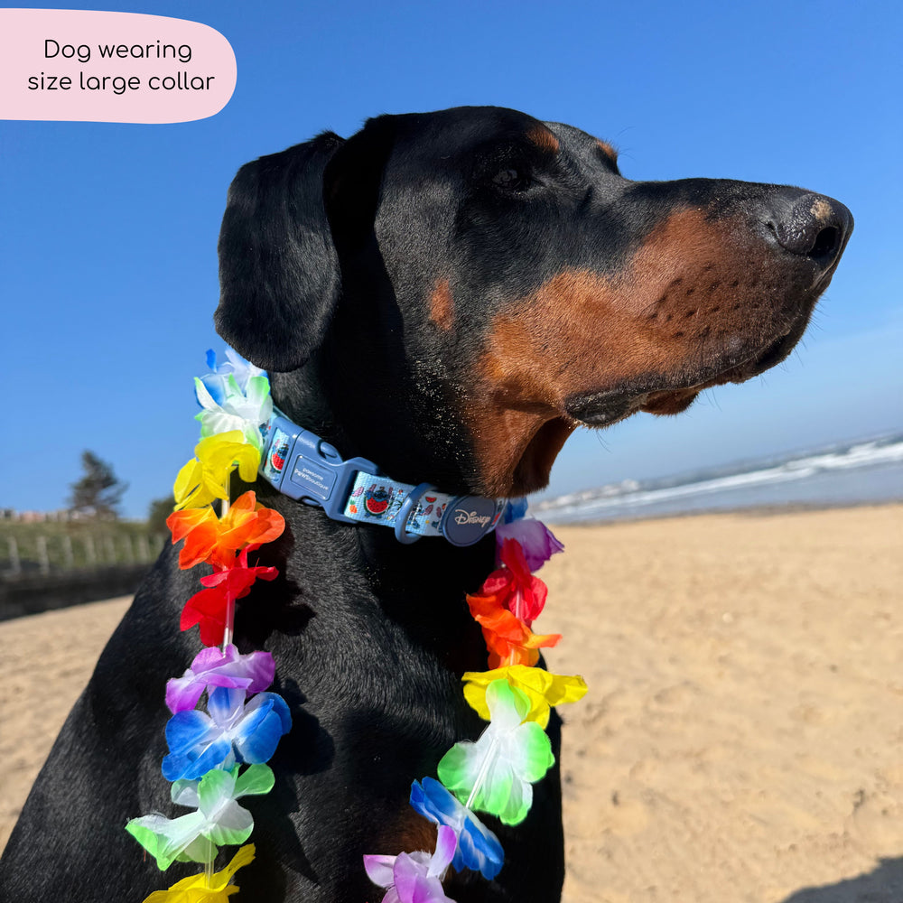 Disney© Collar - Stitch's Fruit Fiesta