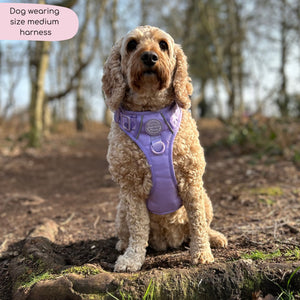 Tough Trails™ Harness - Walkies Ready® Lavender Lilac