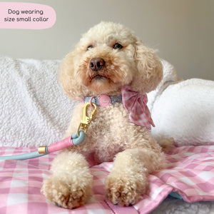 Disney© Collar - Mad Hatters Tea Party