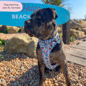 Disney© Tough Trails™ Harness - Stitch's Fruit Fiesta