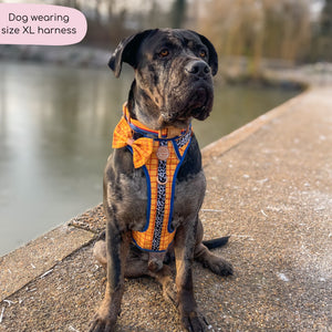 Disney© Tough Trails™ Harness - Woody