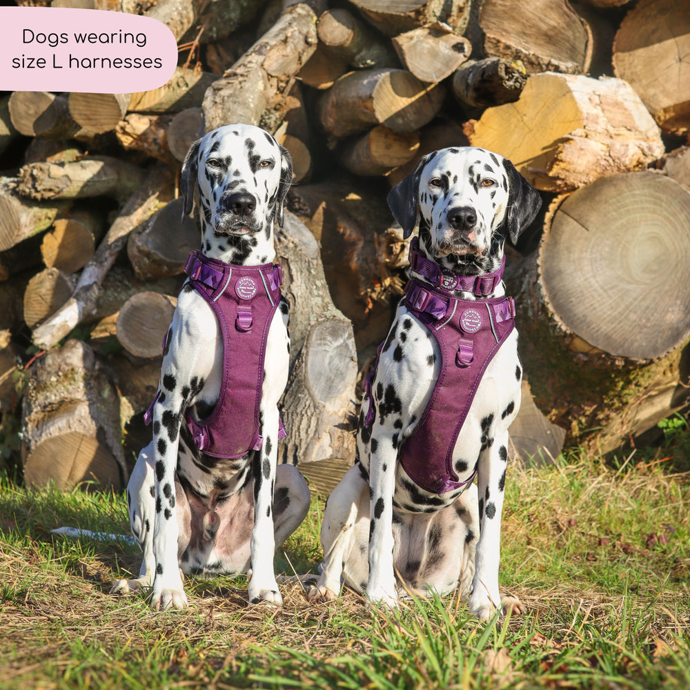 Tough Trails™ Harness - Walkies Ready® Plum
