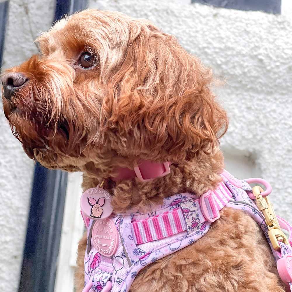 Disney© Tough Trails™ Harness - Piglet