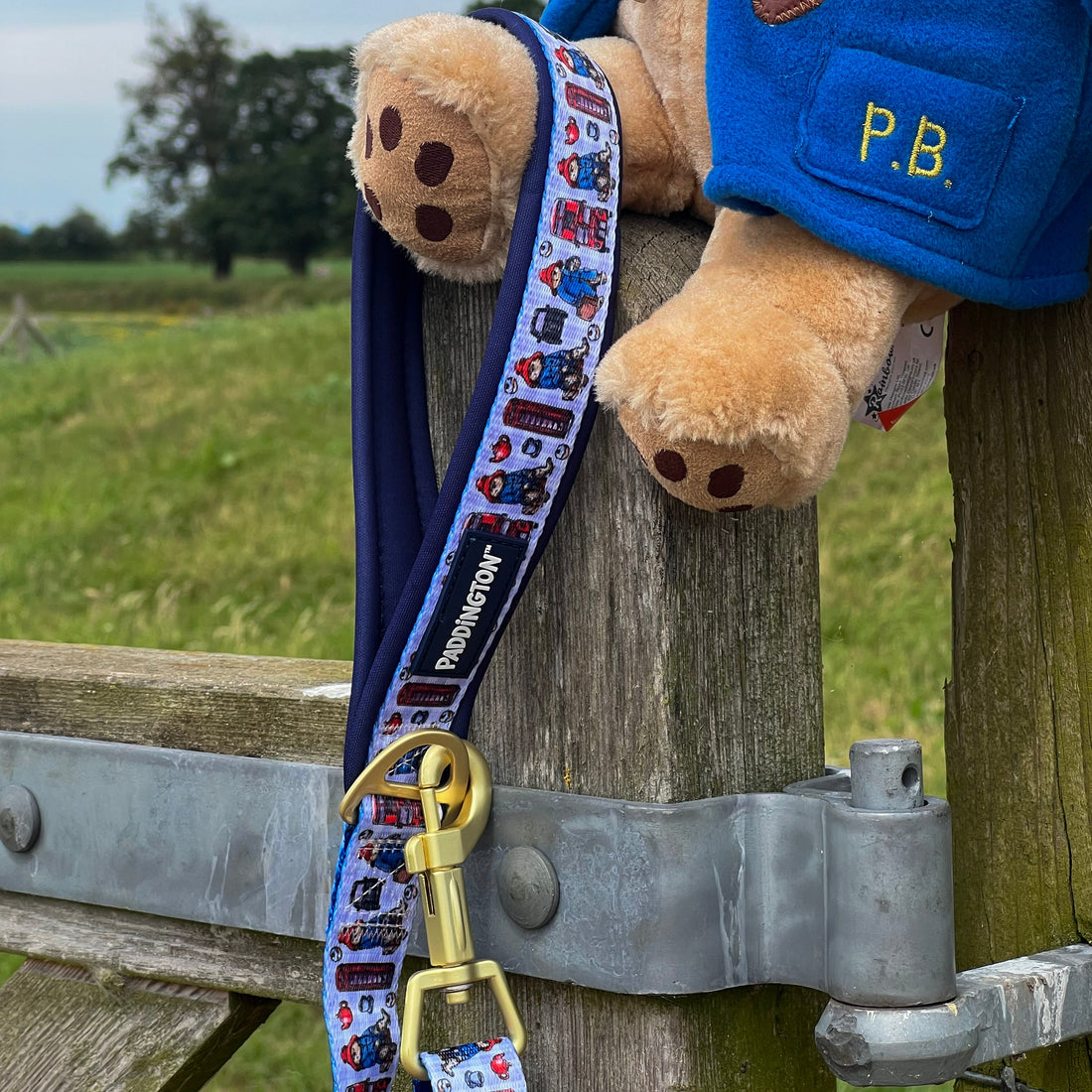 Paddington™ AdjustFit Lead - London
