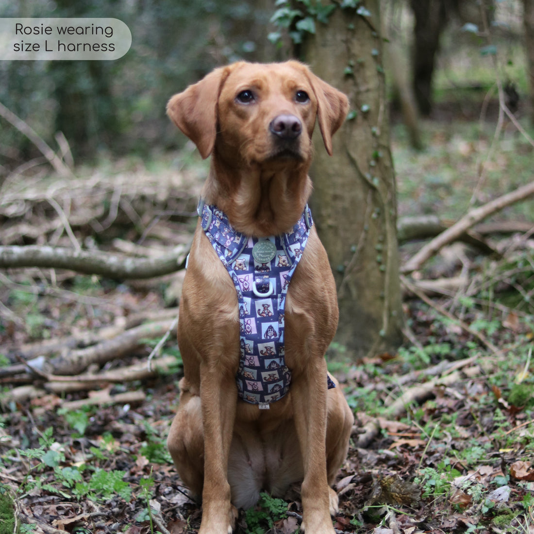 Disney© Tough Trails™ Harness -  Winnie + Friends