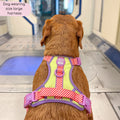 Disney© Tough Trails™ Harness - Buzz Lightyear